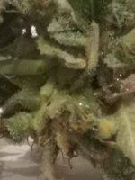 IMG_20190929_110805.jpg