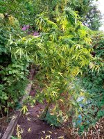 IMG-20190930-WA0008.jpg