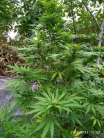 IMG-20190930-WA0010.jpg
