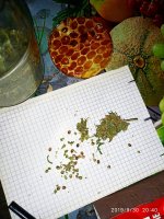 IMG-20190930-WA0016.jpg