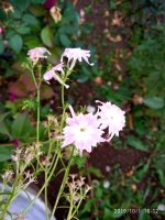 IMG-20191001-WA0072.jpg