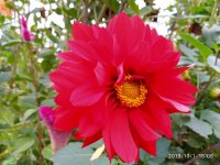 IMG-20191001-WA0069.jpg