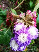 IMG-20191001-WA0068.jpg