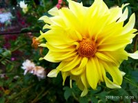 IMG-20191001-WA0067.jpg