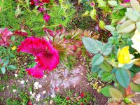 IMG-20191001-WA0065.jpg