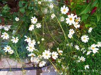 IMG-20191001-WA0063.jpg
