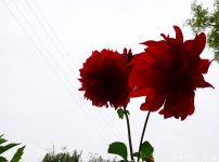 IMG-20191001-WA0058.jpg