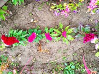 IMG-20191001-WA0057.jpg