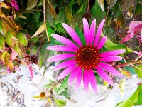 IMG-20191001-WA0056.jpg