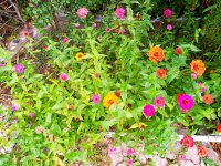 IMG-20191001-WA0054.jpg