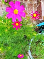 IMG-20191001-WA0052.jpg
