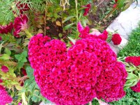 IMG-20191001-WA0051.jpg