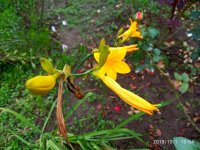 IMG-20191001-WA0047.jpg