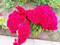 IMG-20191001-WA0046.jpg