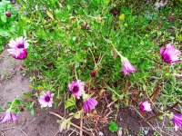 IMG-20191001-WA0045.jpg