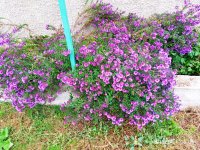 IMG-20191001-WA0044.jpg