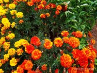 IMG-20191001-WA0041.jpg