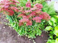 IMG-20191001-WA0040.jpg