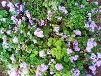 IMG-20191001-WA0039.jpg