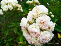 IMG-20191001-WA0035.jpg