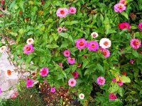IMG-20191001-WA0031.jpg