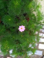 IMG-20191001-WA0029.jpg