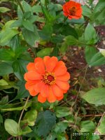 IMG-20191001-WA0028.jpg