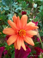 IMG-20191001-WA0027.jpg