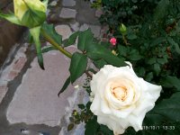 IMG-20191001-WA0024.jpg