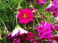 IMG-20191001-WA0022.jpg