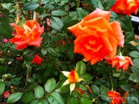 IMG-20191001-WA0021.jpg