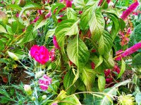 IMG-20191001-WA0020.jpg