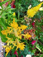 IMG-20191001-WA0019.jpg