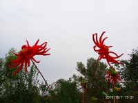 IMG-20191001-WA0018.jpg