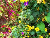 IMG-20191001-WA0017.jpg
