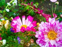 IMG-20191001-WA0016.jpg
