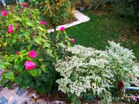 IMG-20191001-WA0014.jpg
