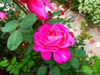 IMG-20191001-WA0012.jpg