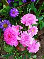 IMG-20191001-WA0011.jpg