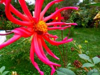 IMG-20191001-WA0010.jpg
