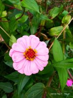 IMG-20191001-WA0009.jpg