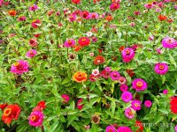 IMG-20191001-WA0007.jpg