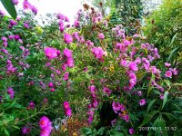 IMG-20191001-WA0006.jpg