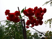 IMG-20191001-WA0005.jpg