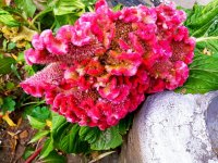IMG-20191001-WA0003.jpg