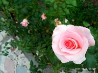 IMG-20191001-WA0002.jpg