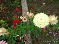 IMG-20191001-WA0001.jpg
