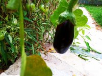 IMG-20191001-WA0087.jpg