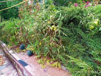 IMG-20191001-WA0086.jpg