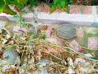 IMG-20191001-WA0083.jpg
